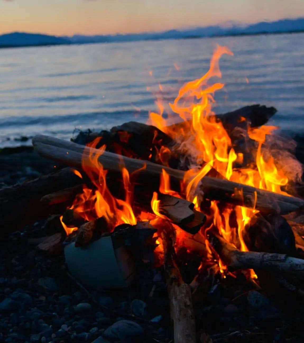 Beachside Bonfire & Barbecue