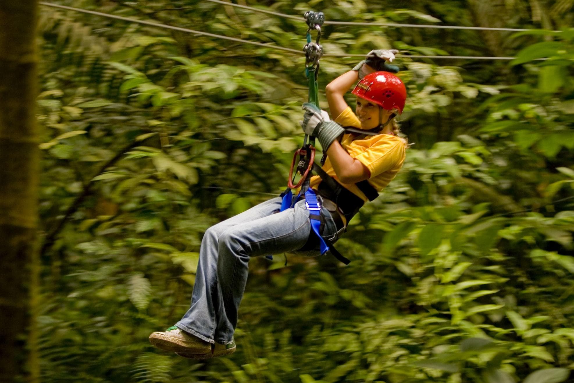 Zip Lining