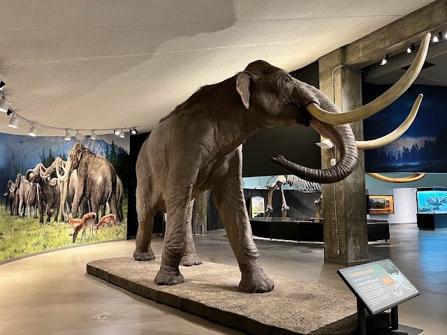 La_Brea_Tar_Pits_and_Museum_LA_1