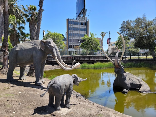 La_Brea_Tar_Pits_and_Museum_LA_3