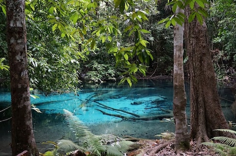 Emerald Pool