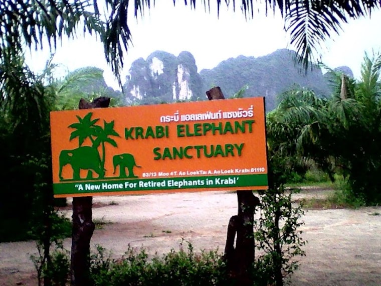 Krabi_Elephant_Sanctuary_Krabi_2