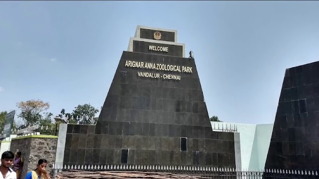 Arignar_Anna_Zoological_Park_1