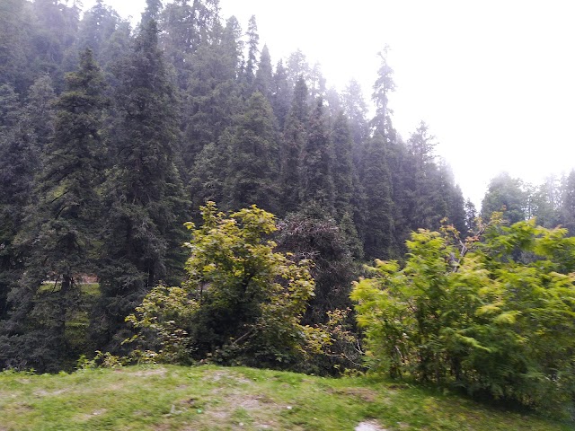 HP_State_Handicrafts_Centre_4