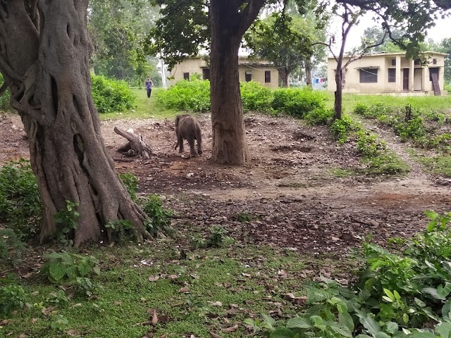 Jhirna_Corbett_1