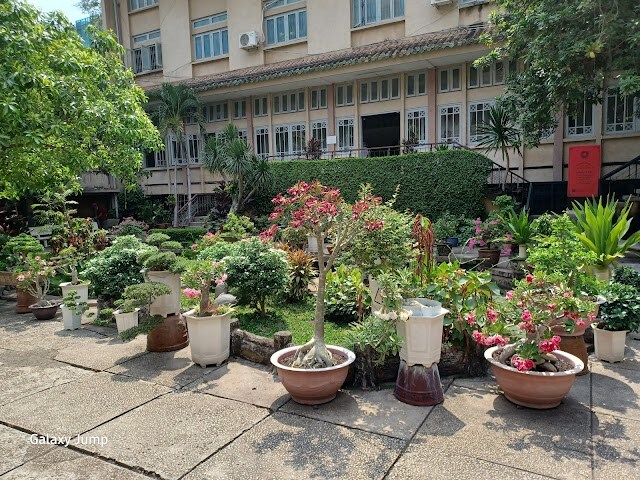 Museum_of_Vietnamese_History_Ho_chi_minh_City_4