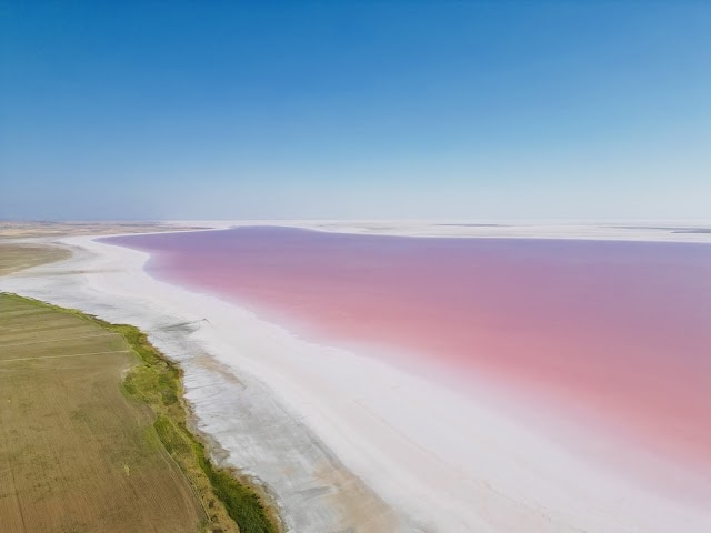 Pink_Salt_Lake_Tuz_2