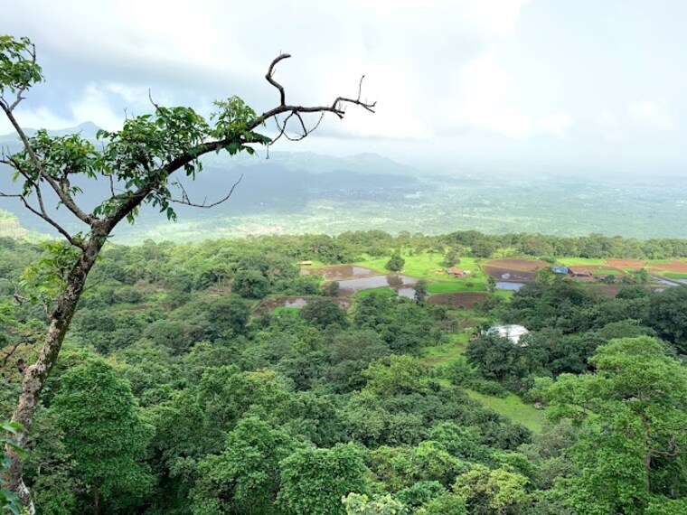 Bhimashankar_Trek_Mumbai_3