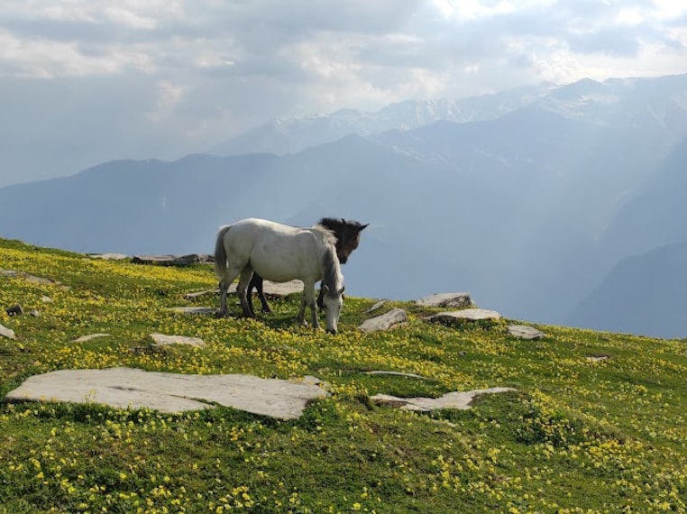 Bhrigu_Lake_Manali_1
