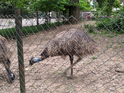 Botanical Garden Guwahati
