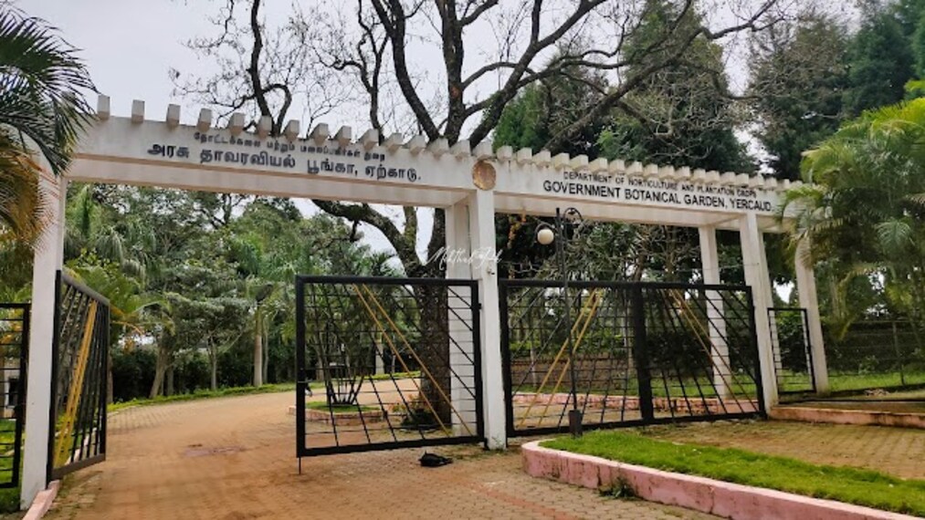 Botanical_Garden_Yercaud_2