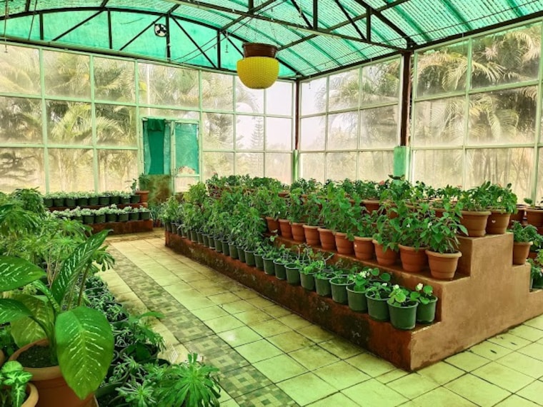 Botanical_Garden_Yercaud_3