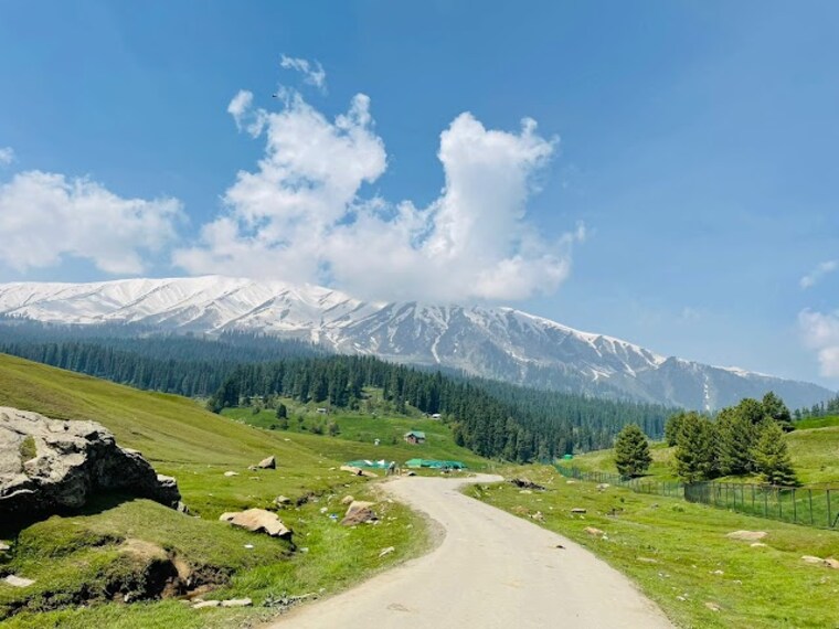 Buta_Pathri_Gulmarg_3