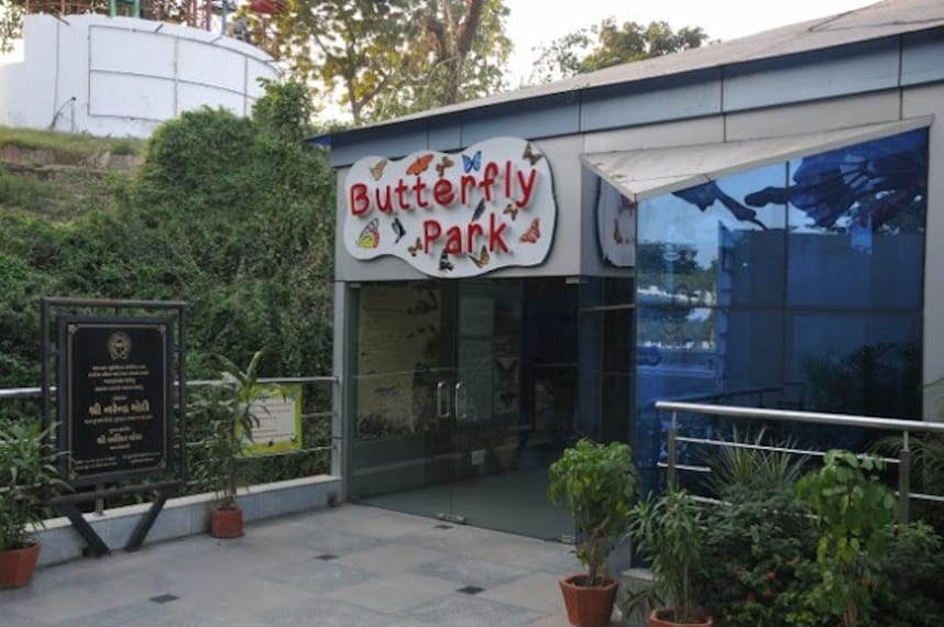 Butterfly_Park_Ahmedabad_2