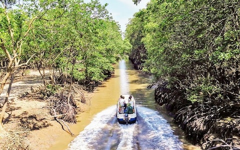 Can Gio Mangrove Forest Tour