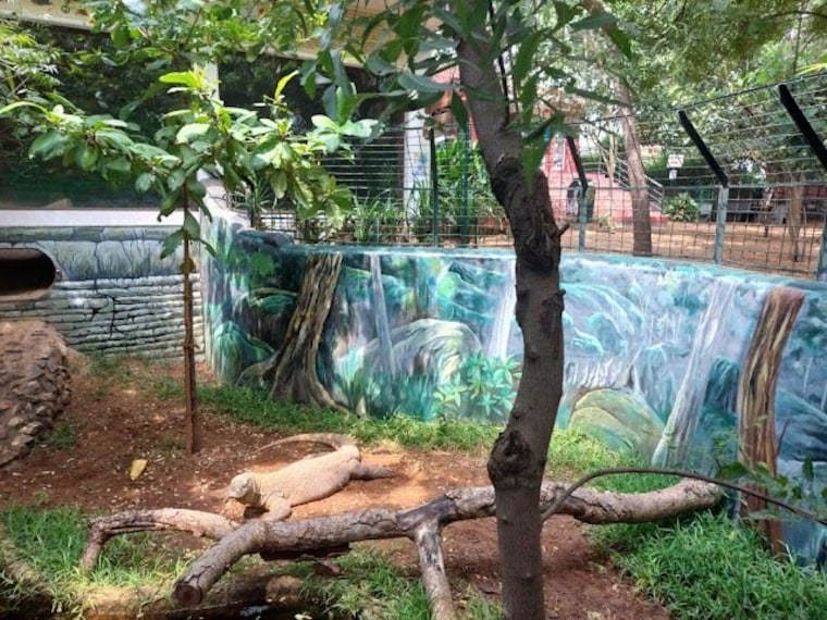 Crocodile_Bank_3