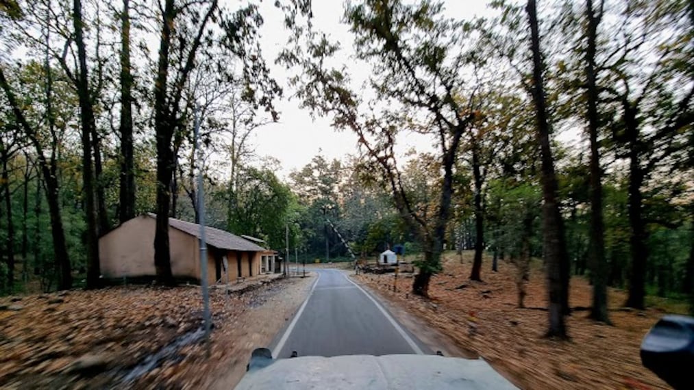 Durga_Devi_Zone_Corbett_2