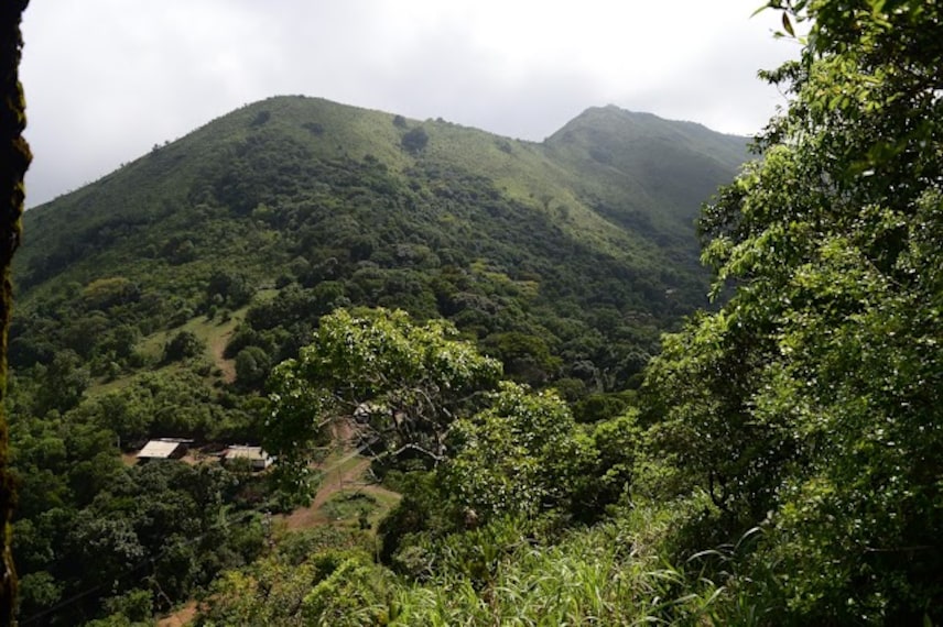 Honey_Valley_3