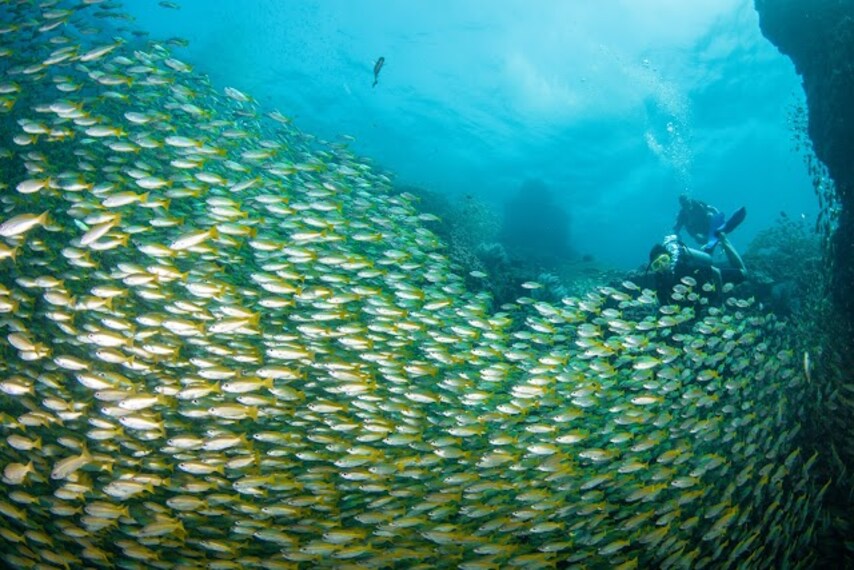 Ko_Bida_Nak_Phi_Phi_islands_3