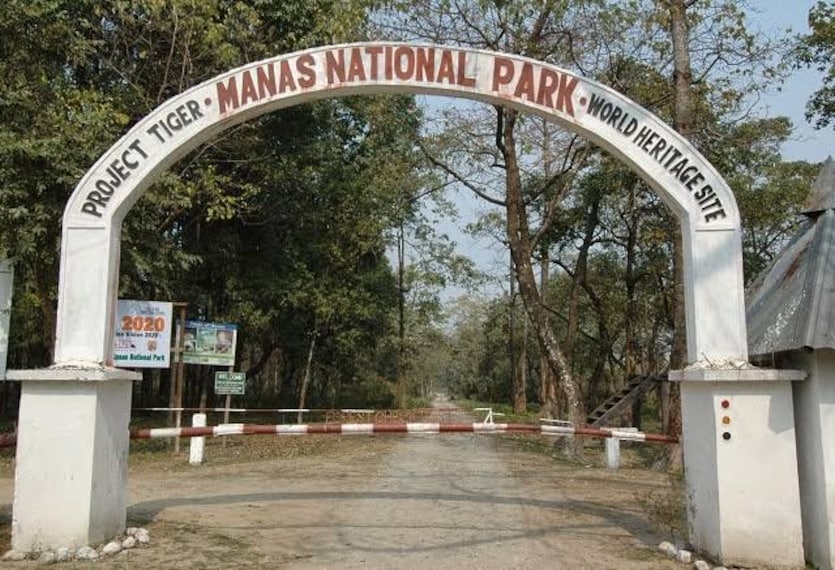 Manas_National_Park_1