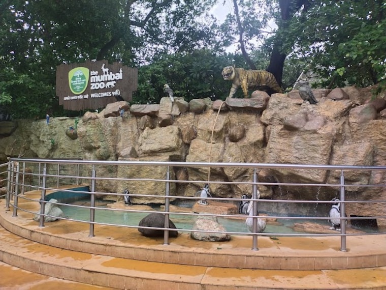 Mumbai_Zoo_Mumbai_2
