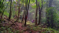 Nokrek National Park