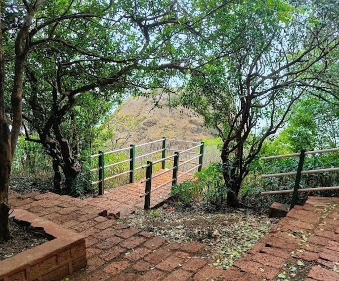 One_Tree_Hill_Point_4