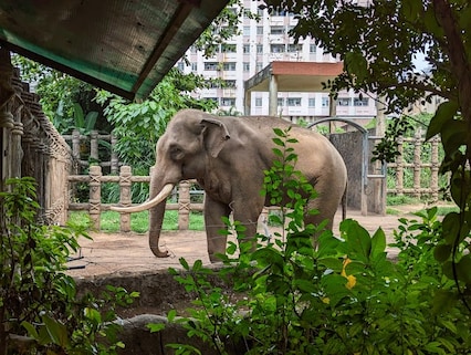 Saigon Zoo & Botanical Garden