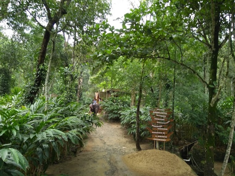 Tribal_Heritage_Walk_1