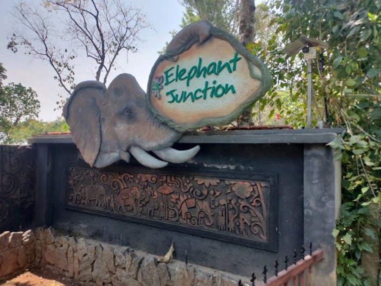 Tribal_Heritage_Walk_2