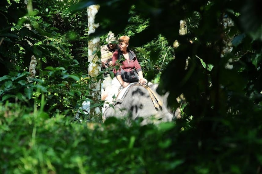 Tribal_Heritage_Walk_5