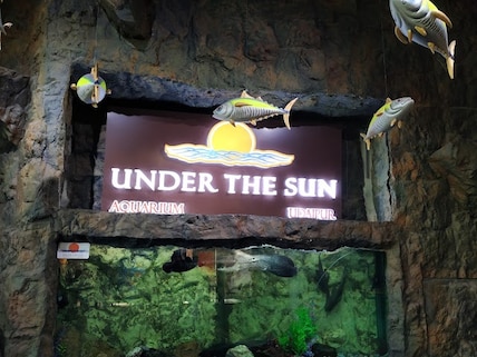 Under the Sun Aquarium