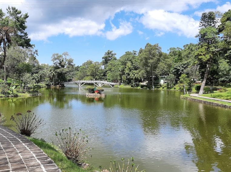 Wards_Lake_1