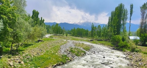 Ningle Nallah
