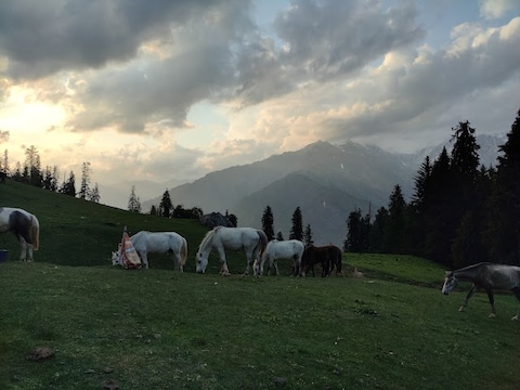 Sar Pass Trek