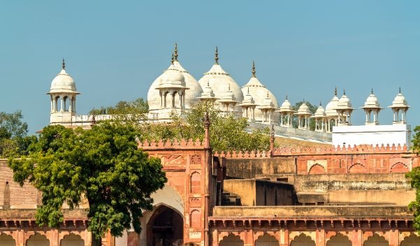agra_moti_masjid_1