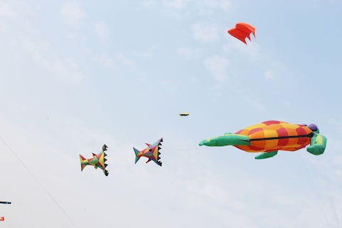 Attend International Kite Festival