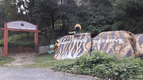 Ride a Safari at Dampa Tiger Reserve