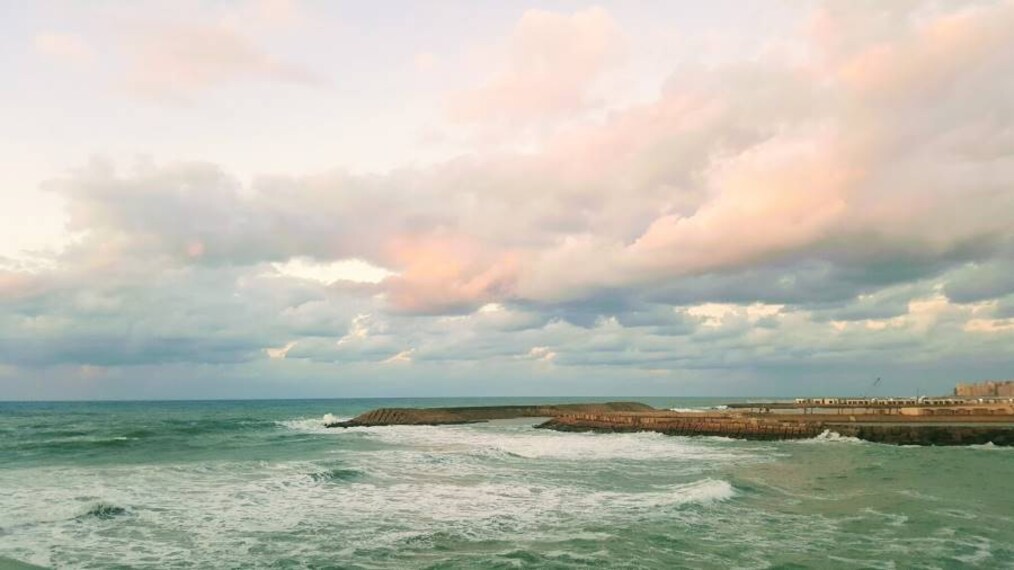 Alexandria_Al-Hanuveel_10