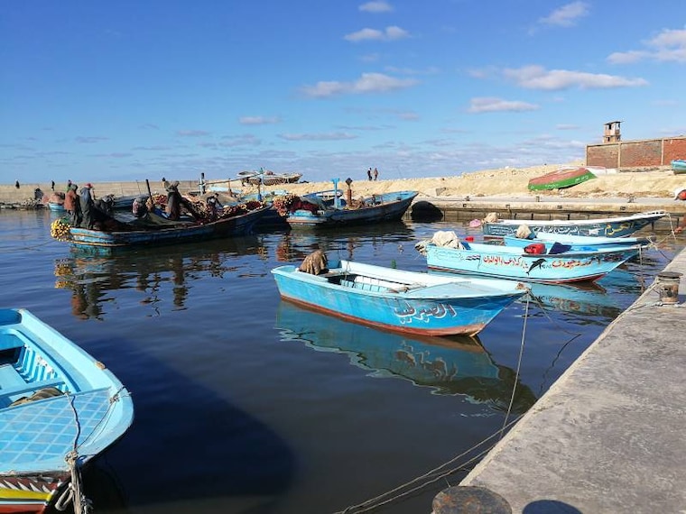 Alexandria_Al-Maks_8