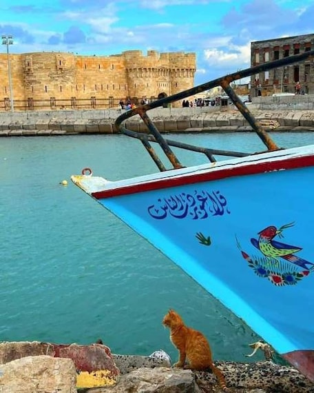 Alexandria_Alex_Souq_8