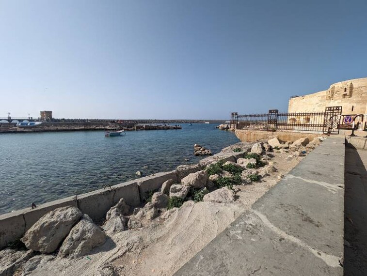 Alexandria_Aquarium_8