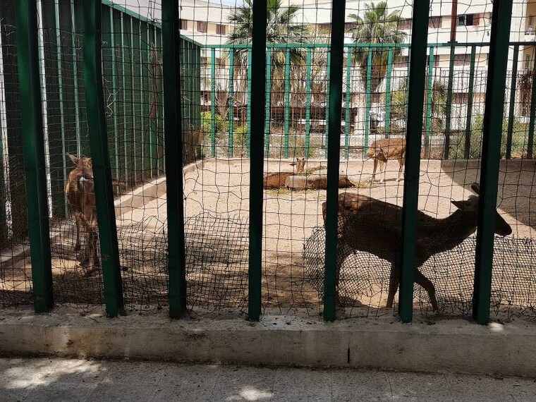 Alexandria_Zoo_9
