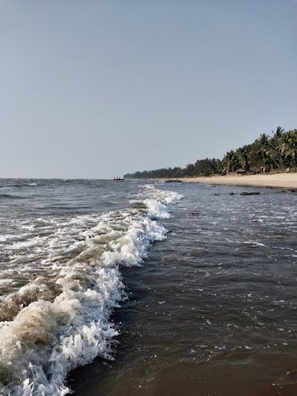 Alibaug Kihim Beach Portrait Image