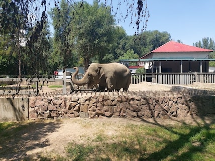 Almaty Zoo
