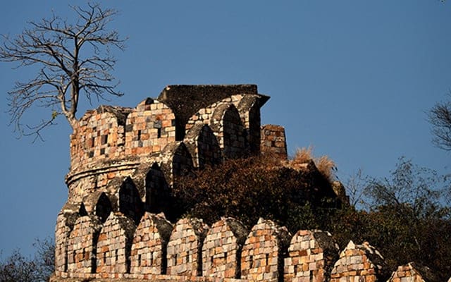 Alwar Fort Landscape Image