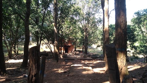 Dhuni Pani