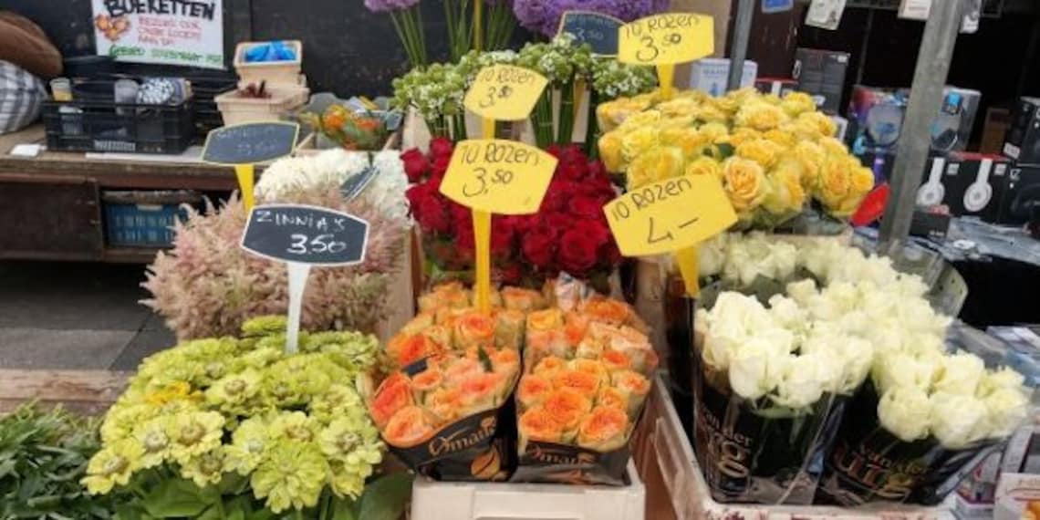 Amsterdam_s_Neighbourhood-5