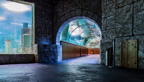Aqua Vega Aquarium