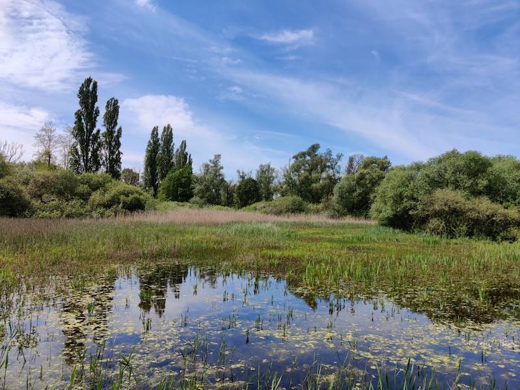 Antwerp_Hobokense_Polder_3